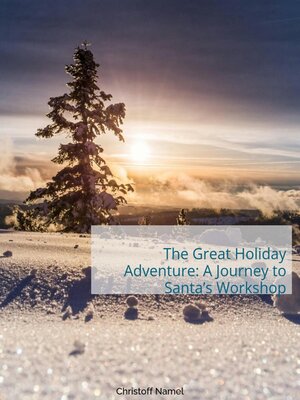 cover image of The Great Holiday Adventure